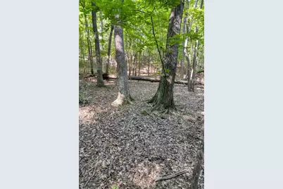 90 Cardinal Cove, Big Canoe, GA 30143 - Photo 1