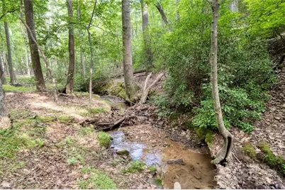 90 Cardinal Cove, Big Canoe, GA 30143 - Photo 5