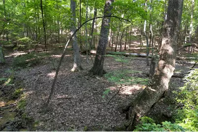 90 Cardinal Cove, Big Canoe, GA 30143 - Photo 9