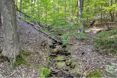 90 Cardinal Cove, Big Canoe, GA 30143 - Photo 7