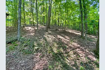 764 Chestnut Cove Trail, Jasper, GA 30143 - Photo 19