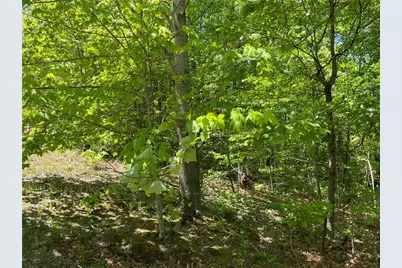 206 Northview Parkway, Ellijay, GA 30536 - Photo 51