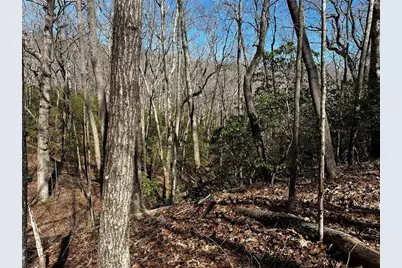 206 Northview Parkway, Ellijay, GA 30536 - Photo 27