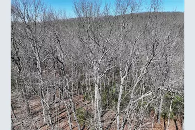 206 Northview Parkway, Ellijay, GA 30536 - Photo 15