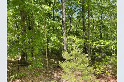 206 Northview Parkway, Ellijay, GA 30536 - Photo 53