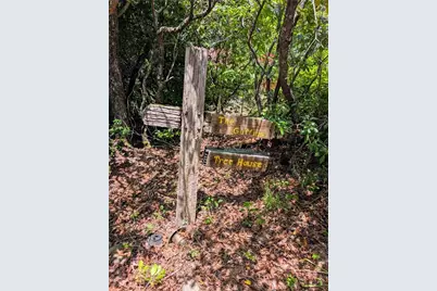 725 Blue Ridge Drive, Sautee Nacoochee, GA 30571 - Photo 29