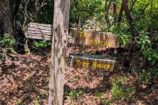 725 Blue Ridge Dr, Sautee Nacoochee, GA 30571 - Photo 29