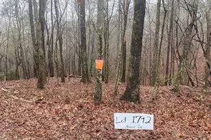 3190 Newport Dr, East Ellijay, GA 30540 - Photo 1