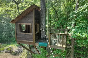 7843 W Hwy 382, Ellijay, GA 30540 - Photo 91