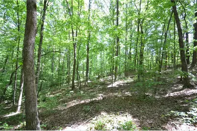 5960 Georgia Highway 120, Buchanan, GA 30113 - Photo 15