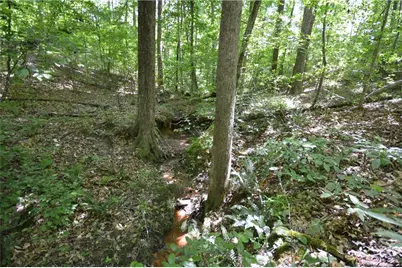 5960 Georgia Highway 120, Buchanan, GA 30113 - Photo 19