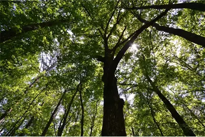 5960 Georgia Highway 120, Buchanan, GA 30113 - Photo 35