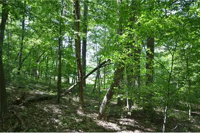 5960 Georgia Highway 120, Buchanan, GA 30113 - Photo 29