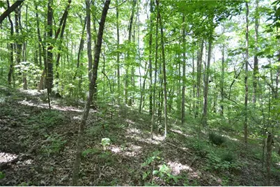 5960 Georgia Highway 120, Buchanan, GA 30113 - Photo 31