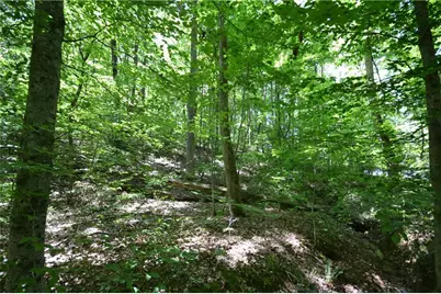 5960 Georgia Highway 120, Buchanan, GA 30113 - Photo 21