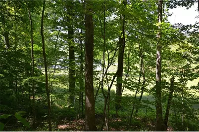 5960 Georgia Highway 120, Buchanan, GA 30113 - Photo 23