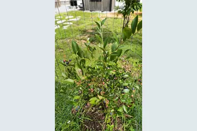 1224 Texas Valley Road NW, Rome, GA 30165 - Photo 59