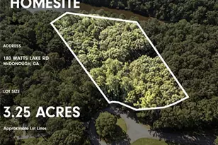 180 Watts Lake Rd, McDonough, GA 30252 - Photo 43