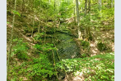 1298 Cold Stream Trail, Jasper, GA 30143 - Photo 31