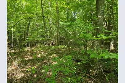0 Byers Drive, Ball Ground, GA 30107 - Photo 5