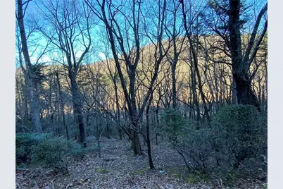 0 Mulligan Way, Jasper, GA 30143 - Photo 3