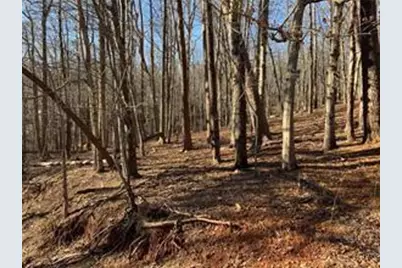 0 Oak Ridge Court, Jasper, GA 30143 - Photo 5