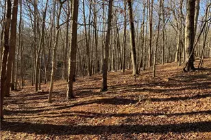 0 Oak Ridge Ct, Jasper, GA 30143 - Photo 1