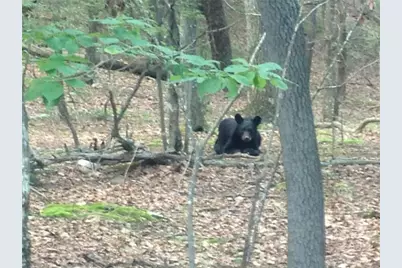 0 Oak Ridge Court, Jasper, GA 30143 - Photo 7