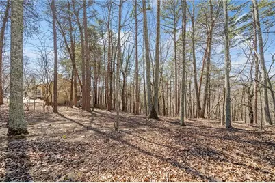 166 Ponderosa Lane, Waleska, GA 30183 - Photo 9