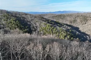 249 Andes Ridge, Ellijay, GA 30536 - Photo 1