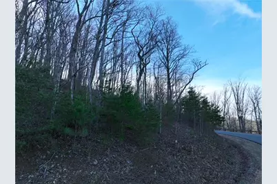 249 Andes Ridge, Ellijay, GA 30536 - Photo 7