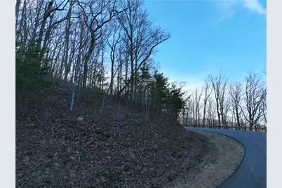 249 Andes Ridge, Ellijay, GA 30536 - Photo 9