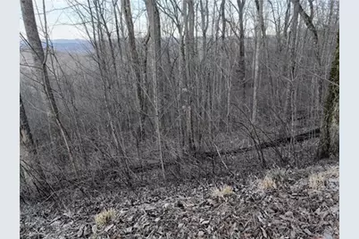 279 Andes Ridge, Ellijay, GA 30536 - Photo 37