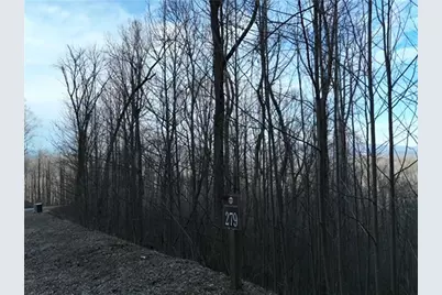 279 Andes Ridge, Ellijay, GA 30536 - Photo 3