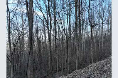 279 Andes Ridge, Ellijay, GA 30536 - Photo 7