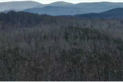 280 Andes Ridge, Ellijay, GA 30536 - Photo 39