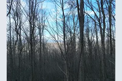 280 Andes Ridge, Ellijay, GA 30536 - Photo 15