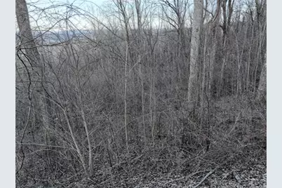 280 Andes Ridge, Ellijay, GA 30536 - Photo 43