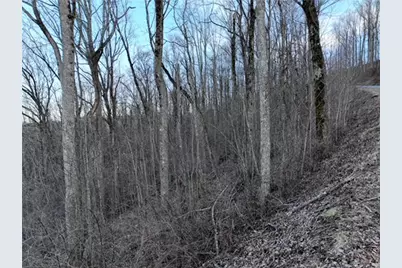 280 Andes Ridge, Ellijay, GA 30536 - Photo 41