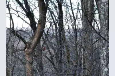 280 Andes Ridge, Ellijay, GA 30536 - Photo 29