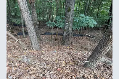 3524 Lake Ridge Drive, Gainesville, GA 30506 - Photo 3