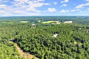 352 Jim Grizzle Rd, Royston, GA 30662 - Photo 45