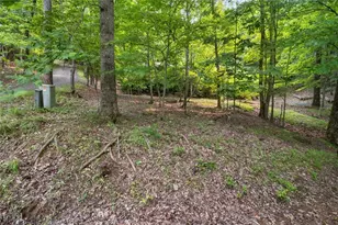 1121 Woodland Trace, Big Canoe, GA 30143 - Photo 61