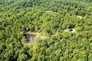 33 Tolbert Rd, Rockmart, GA 30153 - Photo 31