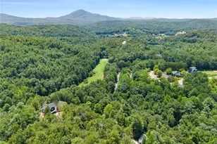 17 Dach Bruecke Gasse, Helen, GA 30545 - Photo 55