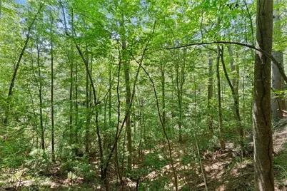 17 Dach Bruecke Gasse, Helen, GA 30545 - Photo 39