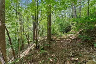 17 Dach Bruecke Gasse, Helen, GA 30545 - Photo 41