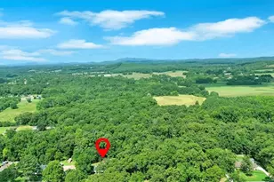 217 Cherokee Cir, Cedartown, GA 30125 - Photo 53