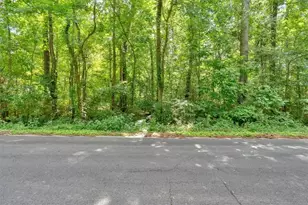 217 Cherokee Cir, Cedartown, GA 30125 - Photo 51