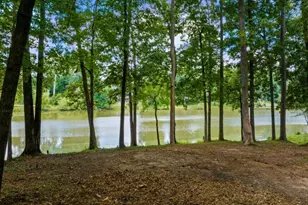 16280 Clarity Rd, Alpharetta, GA 30004 - Photo 9